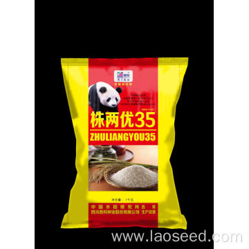 High Quality Natural rice seeds to plant